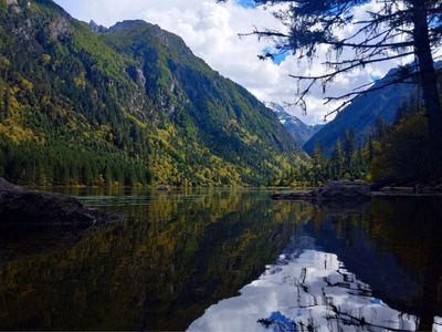17448846574231910_600x450.jpg